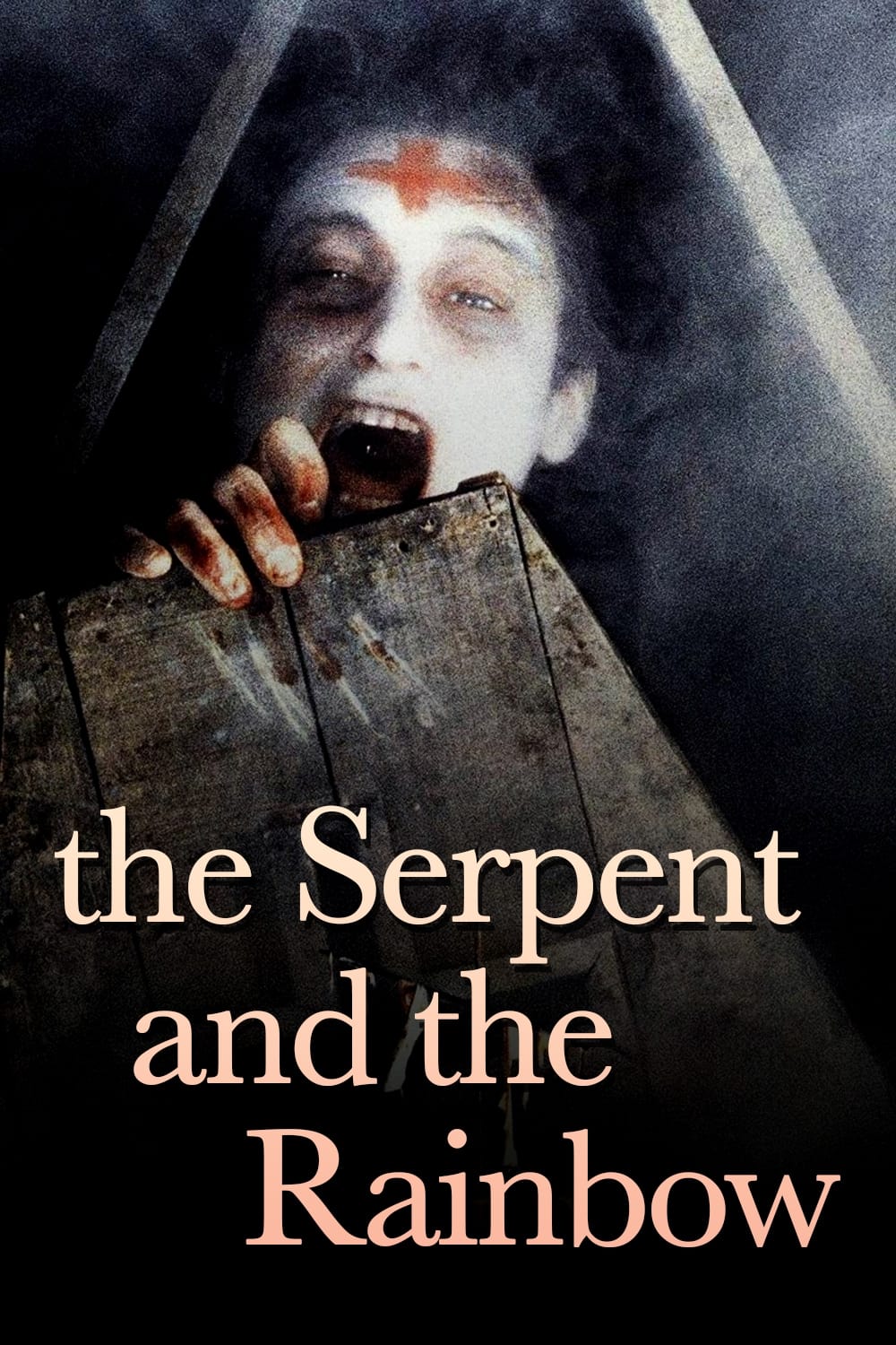 Постер The Serpent and the Rainbow